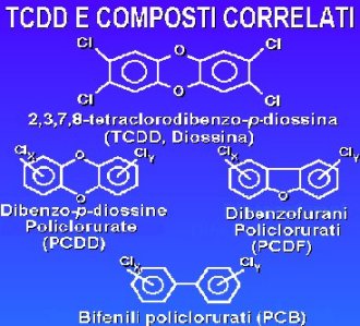 diossine1.jpg (33510 byte)